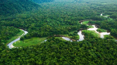 Piauí lança programa jurisdicional de créditos de carbono REDD+ com a Silvania para combater o desmatamento