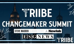 image of brands like ESG News, Steve Madan and others at Triibe event