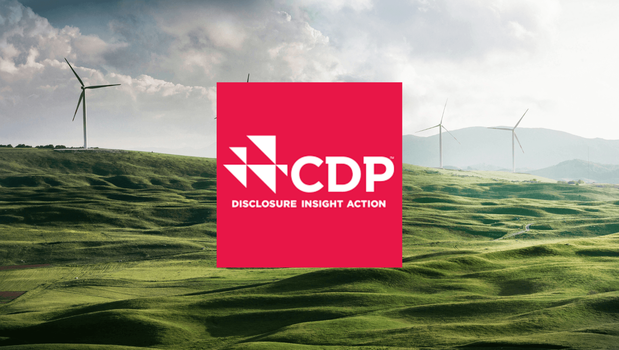 UK Local Authorities Plan £67 Billion in Climate Projects: CDP Report