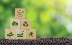What Is Carbon Insetting? What You Need to Know about the Strategy