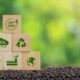 What Is Carbon Insetting? What You Need to Know about the Strategy