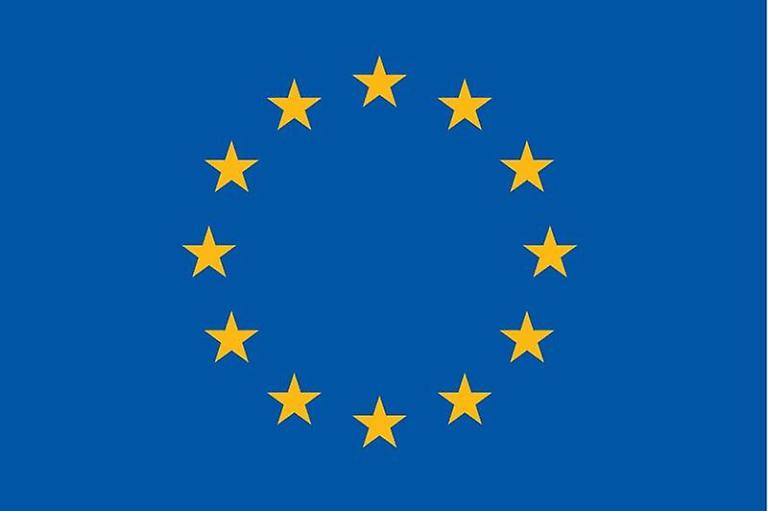 circle of starts on flag for EU flag icon