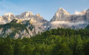 SBTi Reports 227% Rise in Firms Setting Near- and Long-Term Climate Targets