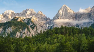 SBTi Reports 227% Rise in Firms Setting Near- and Long-Term Climate Targets