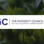 ICVCM Approves Verra’s Biochar and Forest Carbon Methods for High-Integrity Credits