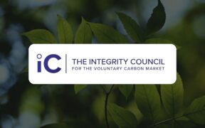 ICVCM Approves Verra’s Biochar and Forest Carbon Methods for High-Integrity Credits