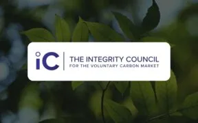ICVCM Approves Verra’s Biochar and Forest Carbon Methods for High-Integrity Credits