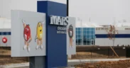 Mars Invests $5M to Protect Peanut Supply, Breed More Climate Resilient Crops