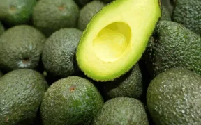 Mexican Avocado Industry Signs First Zero-Deforestation Agreement with Federal Government