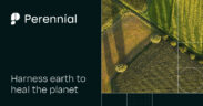 Perennial Launches Verra-Approved AI Tool for Scalable Soil Carbon Quantification