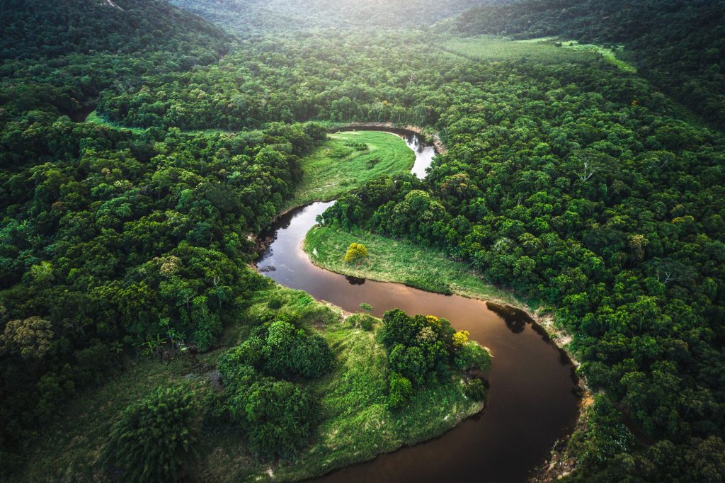 BRB Finance Coalition Secures $4.5B for Brazil’s Forests, Bioeconomy Ahead of COP30