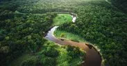 BRB Finance Coalition Secures $4.5B for Brazil’s Forests, Bioeconomy Ahead of COP30