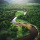 BRB Finance Coalition Secures $4.5B for Brazil’s Forests, Bioeconomy Ahead of COP30