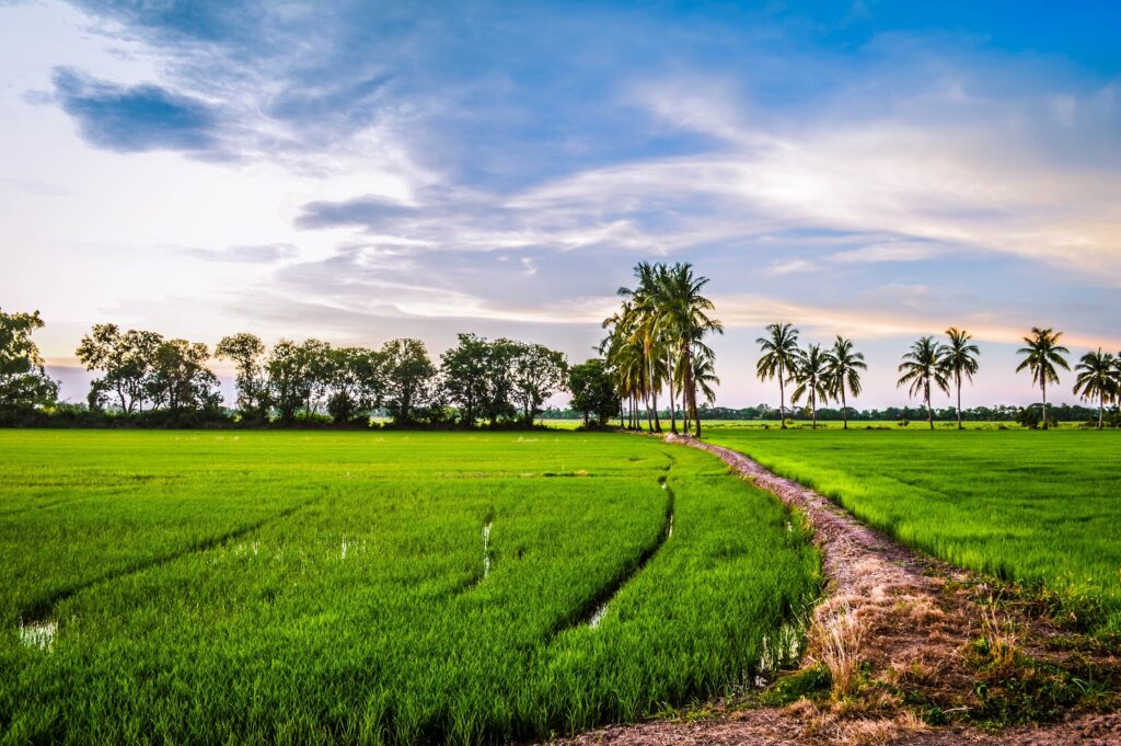 Boomitra’s Carbon Farming Project in India Gains Verra Registratio