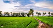 Boomitra’s Carbon Farming Project in India Gains Verra Registratio