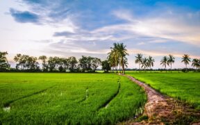 Boomitra’s Carbon Farming Project in India Gains Verra Registratio