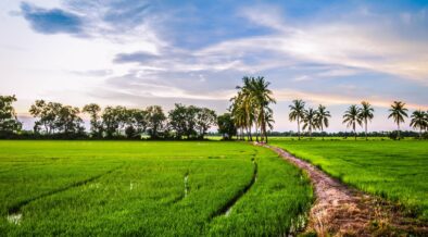 Boomitra’s Carbon Farming Project in India Gains Verra Registratio