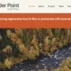 Silvania Partners with Alder Point to Scale US Timberland Investments for Climate and Conservation