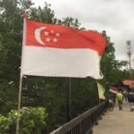 Singapore Launches First National Plastic Passport, Opening Path to ASEAN’s $4.2B Circular Economy