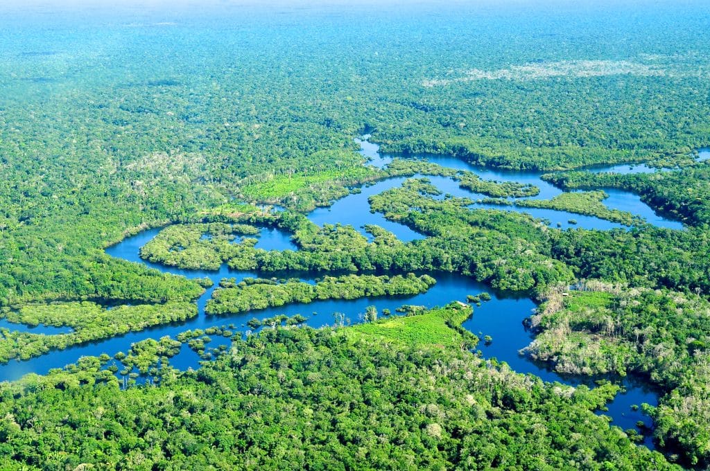 Brazil Cuts Amazon Deforestation to 11-Year Low Ahead of COP30