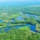 Brazil Cuts Amazon Deforestation to 11-Year Low Ahead of COP30