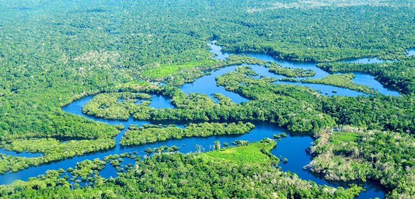 Brazil Cuts Amazon Deforestation to 11-Year Low Ahead of COP30
