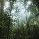 Climate Fund Managers Closes $1.07 Billion Climate Adaptation Fund for Emerging Markets
