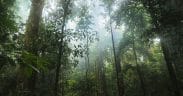Climate Fund Managers Closes $1.07 Billion Climate Adaptation Fund for Emerging Markets