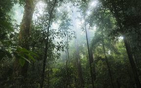 Climate Fund Managers Closes $1.07 Billion Climate Adaptation Fund for Emerging Markets