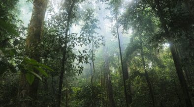 Climate Fund Managers Closes $1.07 Billion Climate Adaptation Fund for Emerging Markets