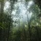 Climate Fund Managers Closes $1.07 Billion Climate Adaptation Fund for Emerging Markets