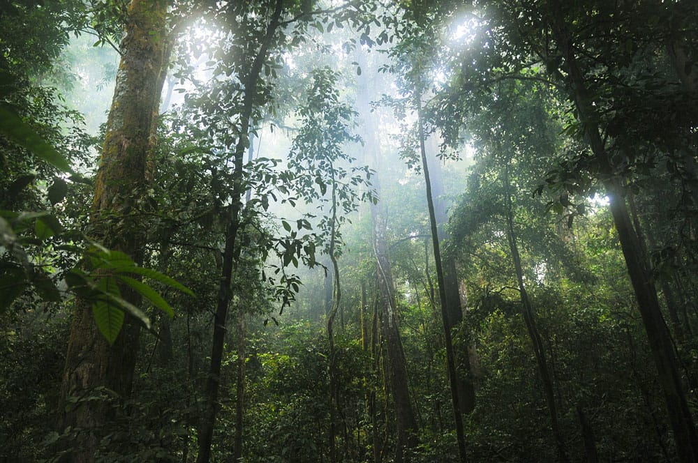 Climate Fund Managers Closes $1.07 Billion Climate Adaptation Fund for Emerging Markets