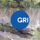 GRI, CDP Align Climate and Energy Reporting to Strengthen Global Disclosure Consistency
