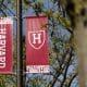 Harvard Accelerates Campus Decarbonization with 32% Emissions Cut