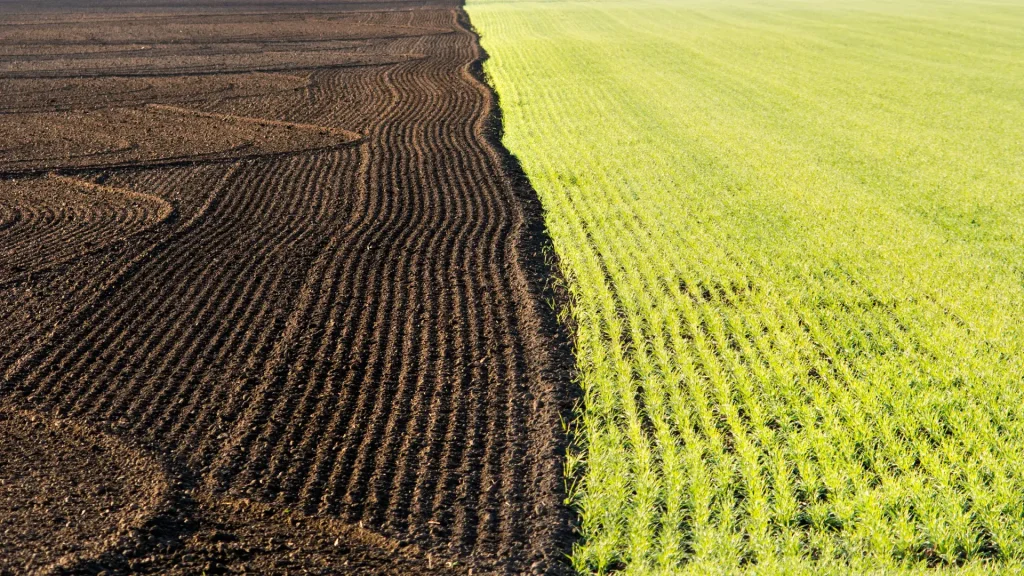 InSoil, Anew Climate to Deliver 500,000 Verified Soil Carbon Removal from Lithuania