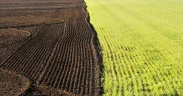 InSoil, Anew Climate to Deliver 500,000 Verified Soil Carbon Removal from Lithuania