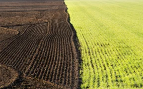 InSoil, Anew Climate to Deliver 500,000 Verified Soil Carbon Removal from Lithuania