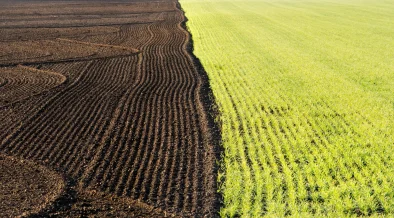 InSoil, Anew Climate to Deliver 500,000 Verified Soil Carbon Removal from Lithuania