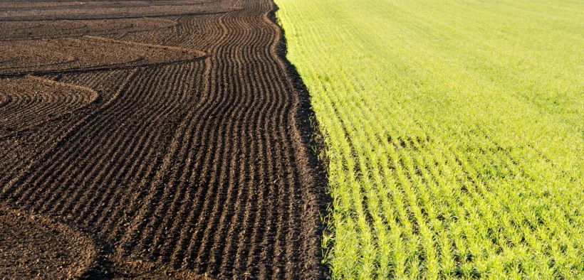 InSoil, Anew Climate to Deliver 500,000 Verified Soil Carbon Removal from Lithuania
