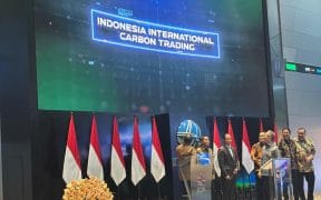 Indonesia Resumes International Carbon Trade Under New Transparency Decree