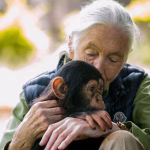 Jane Goodall, Trailblazing Primate Expert and Conservationist, Passes at 91