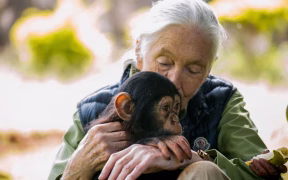 Jane Goodall, Trailblazing Primate Expert and Conservationist, Passes at 91