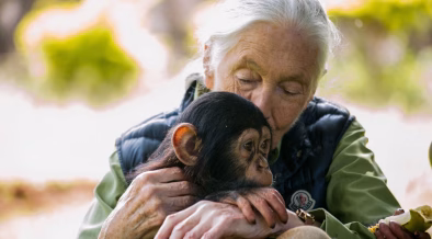 Jane Goodall, Trailblazing Primate Expert and Conservationist, Passes at 91