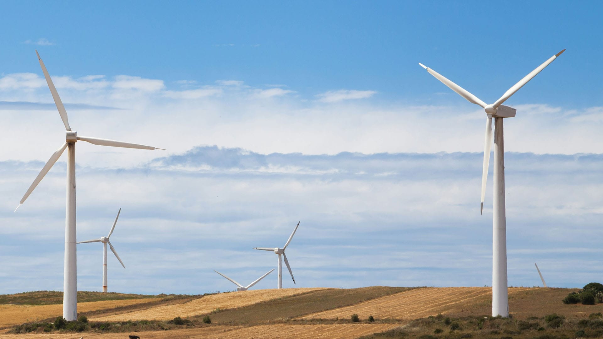 Neoen Launches 412 MW Goyder South Wind Farm to Power South Australia’s 100% Renewables Goal