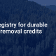 Puro.earth Integrates CCS+ Methodologies to Streamline Carbon Removal Certification