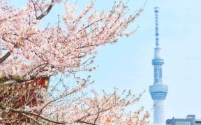 Tokyo Issues World’s First Certified Resilience Bond Worth €300 Million