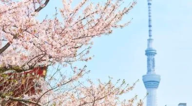 Tokyo émet la première obligation de résilience certifiée au monde d'une valeur de 300 millions d'euros