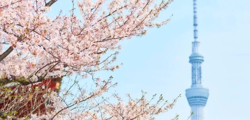 Tokio emite el primer bono de resiliencia certificado del mundo por valor de 300 millones de euros.