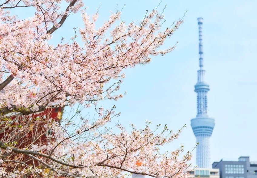 Tokyo Issues World’s First Certified Resilience Bond Worth €300 Million