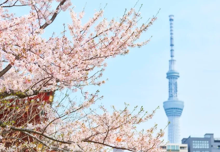 东京发行全球首支经认证的韧性债券，价值300亿欧元